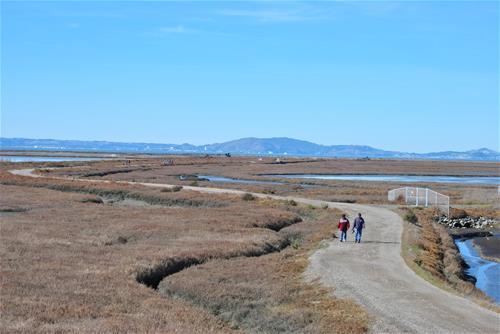 People walking on HSIC trail
