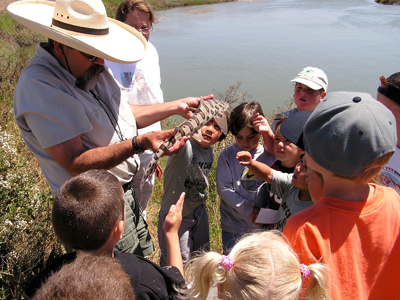 Naturalist presenting a shark prior to releasing it back into the bay