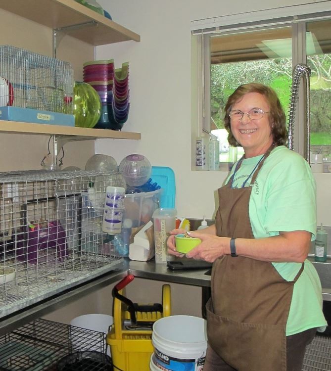 A Volunteer holds a food bowl to feed to an animal Opens in new window
