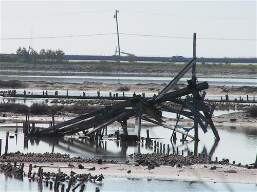 Archimedes Screw Pump